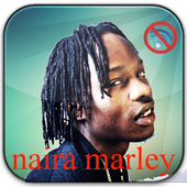 top 10 naira marley 2020 icon