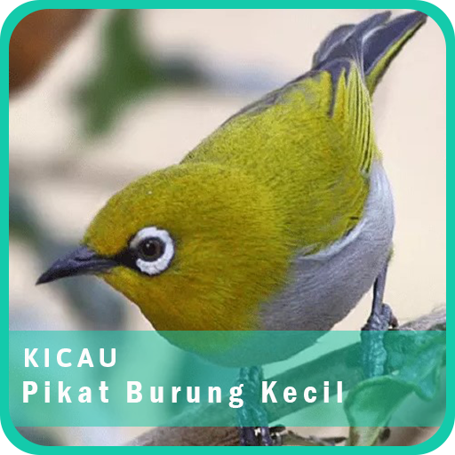 Koleksi Suara Pikat Burung Kecil Ampuh Mp3 Offline icon