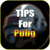 PRO TIPS PUBG 2019