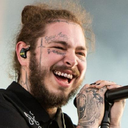 Post Malone - Sun Flower icon