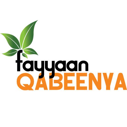 Fayyaan Qabeenyaa icon