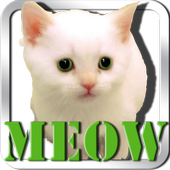 Cat Meow App icon