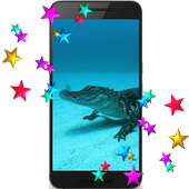 Alligator HD Video LWP icon