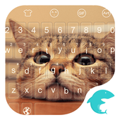 Emoji Keyboard-Cats stay icon