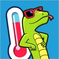 94 Degrees: fun trivia quiz