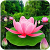 Flower Live Wallpaper 3D icon