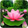 Flower Live Wallpaper 3D