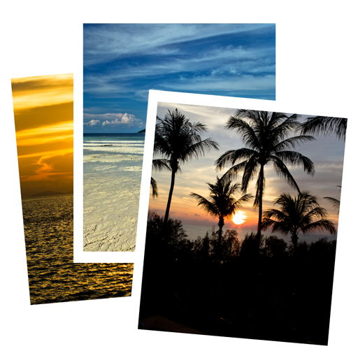 Daily Show for Flickr icon