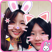 Cat Face Filters and Sticker icon