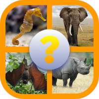 Guess The Animals