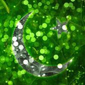 Pakistan TV Channels Stream * icon