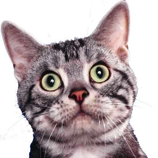 Foto Divertenti icon