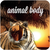 Animal Body icon