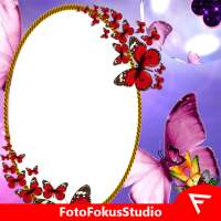 Butterfly Insta DP on 9Apps