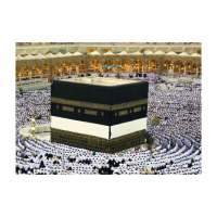 Ayet ve Hadislerle İSLAM on 9Apps