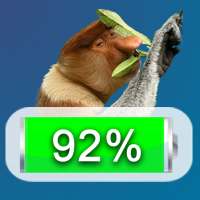 Nosaczowy Widżet Baterii