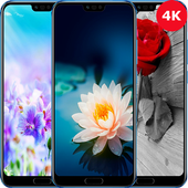ikon 4K Wallpaper Flower