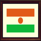 TV Niger Info channel icon