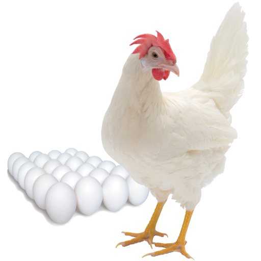 Layer Bird Farm Performance icon