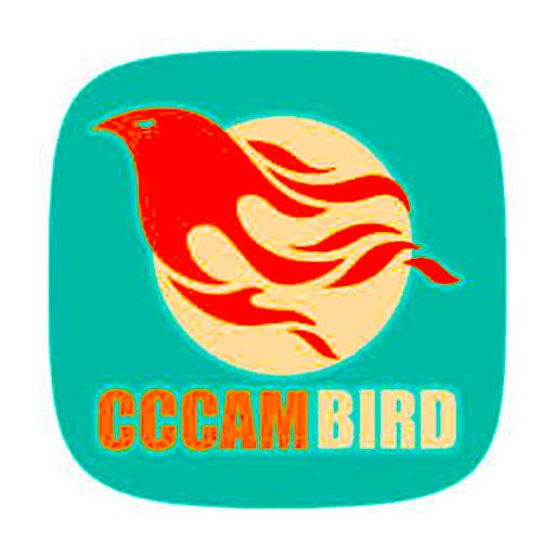 cccambird server icon