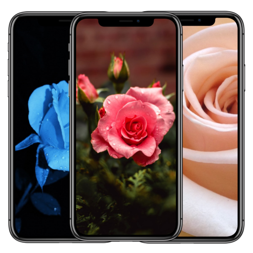 Roses HD Wallpapers for AMOLED icon