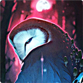 Cute Owl Wallpaper icon