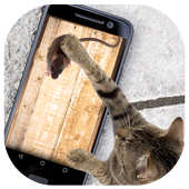 Mouse for Cats Simulator icon