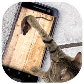 Mouse for Cats Simulator