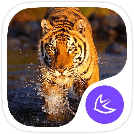 The Tiger theme for APUS icon
