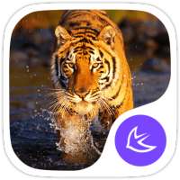 The Tiger theme for APUS on 9Apps