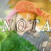 PIP India PoliticalParty Frame on 9Apps