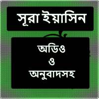 Surah Yasin(সূরা ইয়াসিন) on 9Apps
