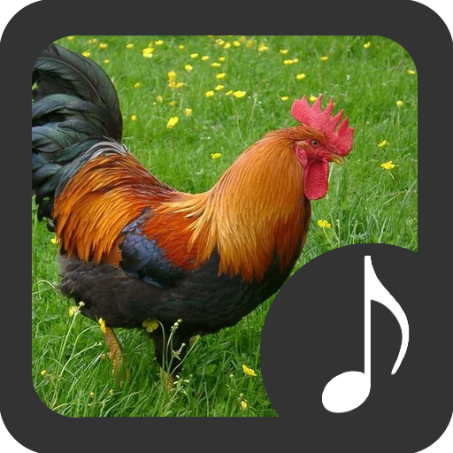 Rooster Sounds icon