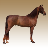 Horse sounds icon