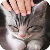 Pat the Cat Simulator icon