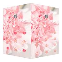 AppLock Theme Carnation on 9Apps