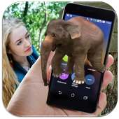 Elephant on Screen Funny Joke