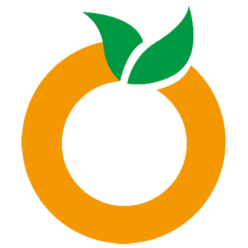 OrangeWifi VPN icon