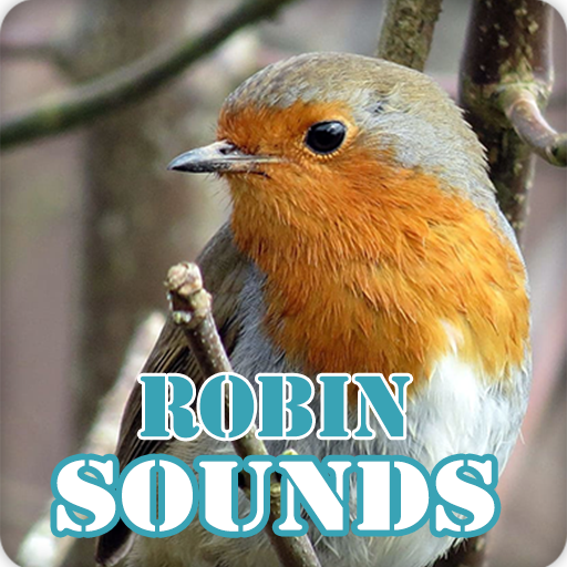 Robin Bird Sounds Collection icon