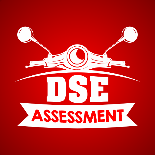 DSE ASSESSMENT icon