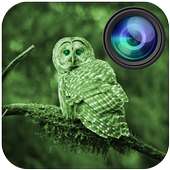 Military Night Vision Camera on 9Apps