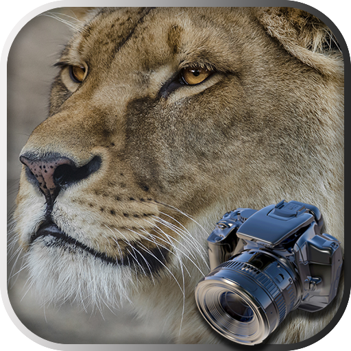 Hidden Animals: Photo Hunt - Seek and Find Games icon