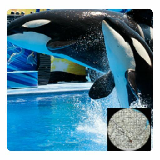 VR Guide: SeaWorld Orlando icon