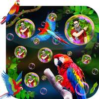 Bubble 3D Bird Live Wallpaper