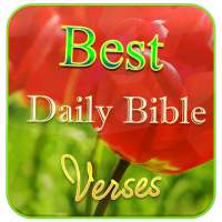 Best Daily Bible Verses