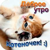 Красивые открытки on 9Apps