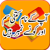 Pakistan SIM Verification : SIM Info icon
