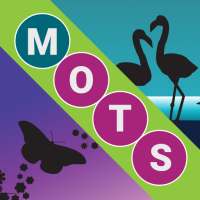 Voyage des Mots: Jeu en Français