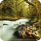 Forest Gallery live wallpaper icon