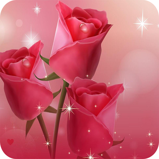 Rose Wallpaper icon